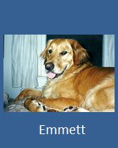 Emmett