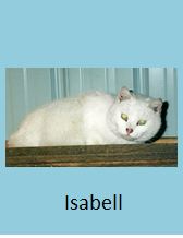 Isabell